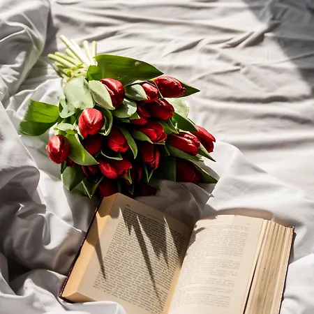 De L'empereur By Malone 3* باريس